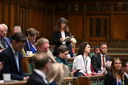 Manuela in Parliament