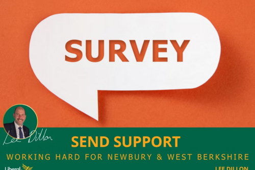 SEND survey