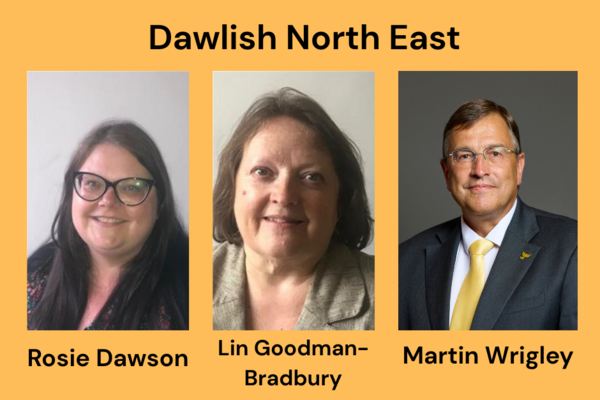 Dawlish North East