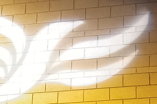 Lib Dem logo bird projected on blockwork