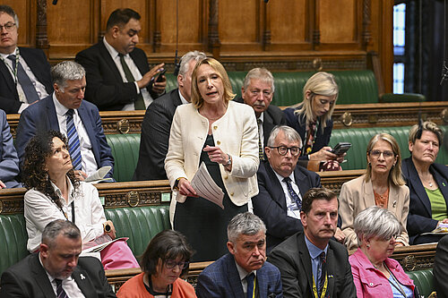 Helen speaking in Parliament