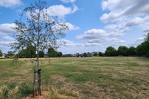Haydons Recreation Ground