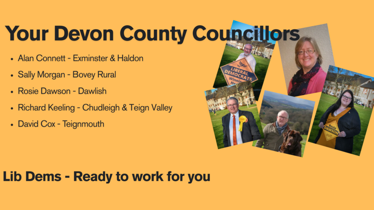 image of devon county councillors