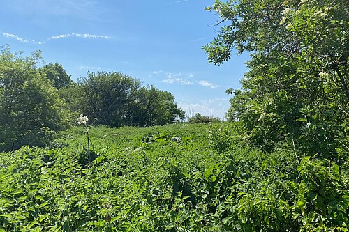 Location of proposed traveller site in Watery Lane Ashbourne