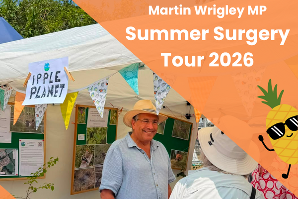 summer safari banner