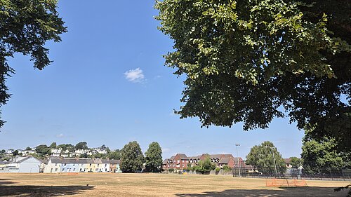 Image of park in a heatwave