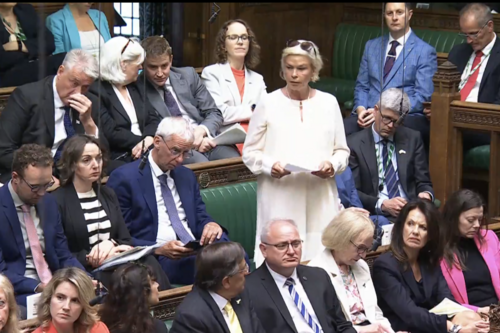 Rachel Gilmour MP in Parliament 